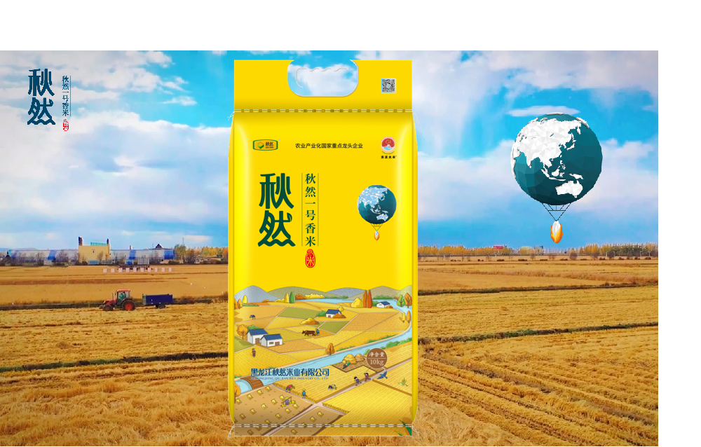 壹號(hào).png