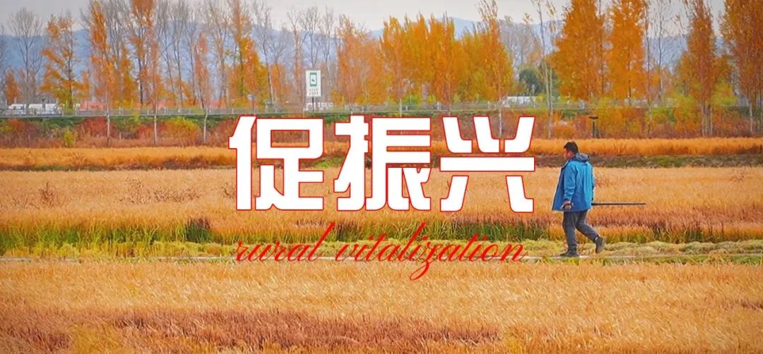 微信圖片_20221118145144.jpg