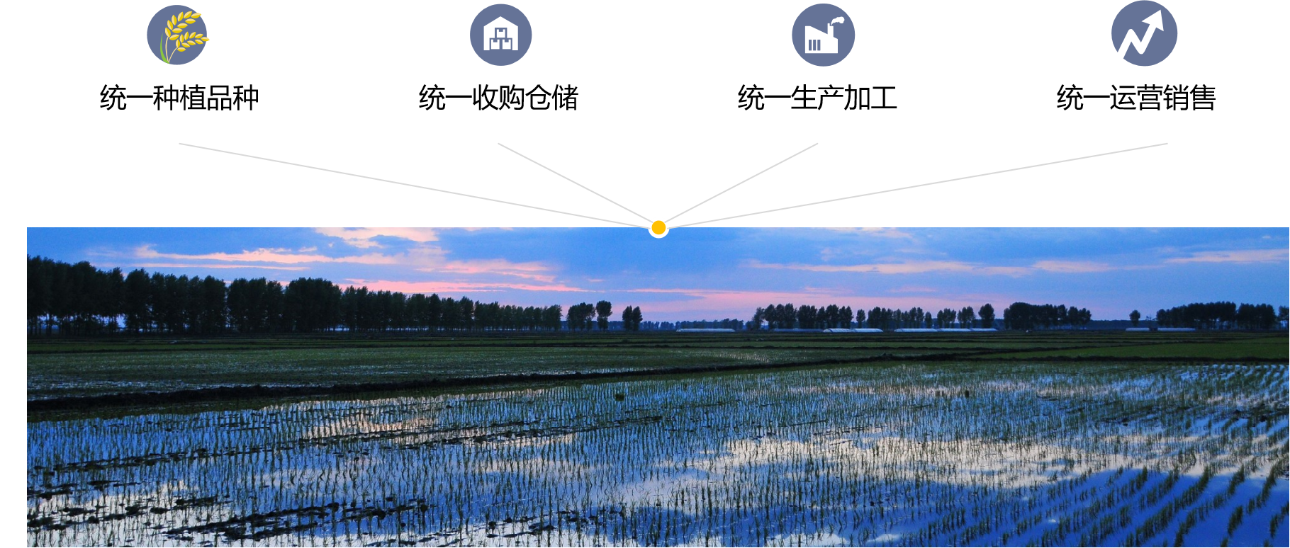 四統(tǒng)一.png